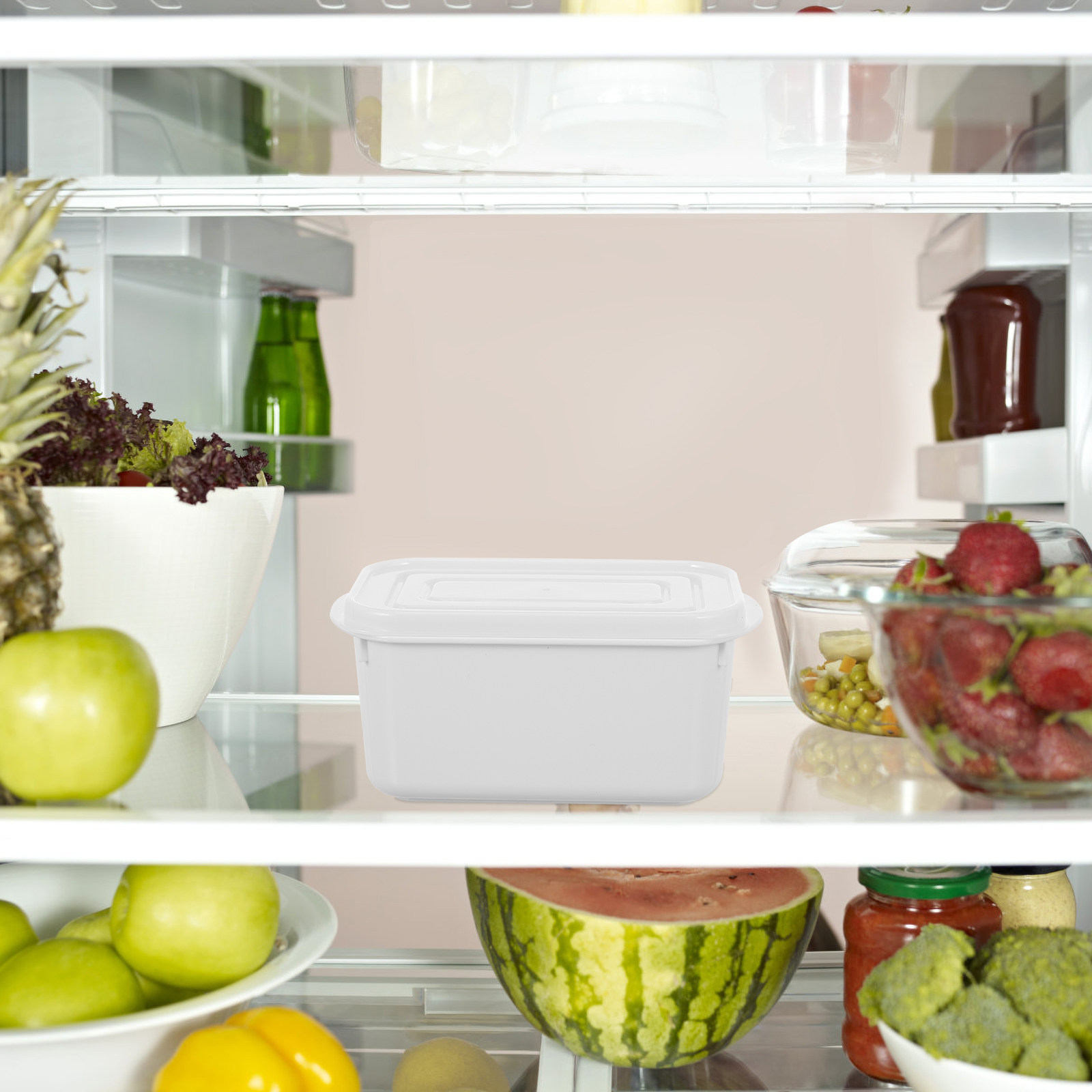 Food Storage In Restaurant - 2Pcs Food Storage Boxes Dustproof Cover
